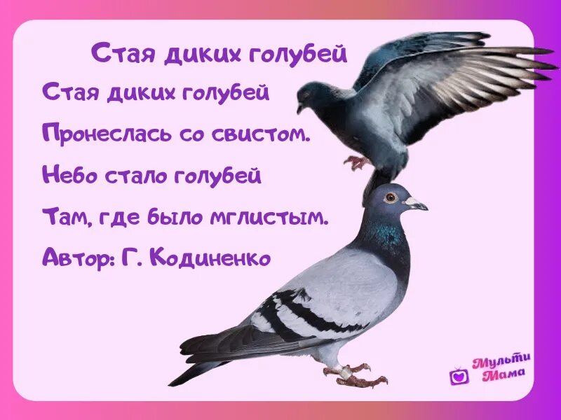 Стихотворение про птиц. Стихи о птицах для детей 3-4 лет. стихи про птичек для детей 3-4. стихотворение про птичку для детей 3 лет. стихотворение про птиц для детей 3-4 лет.