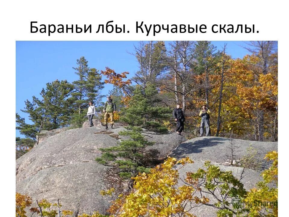 Курчавые скалы это в географии. Курчавые скалы в россии. Бараньи лбы ледник актру. Курчавые скалы это в географии. Курчавые скалы форма рельефа.