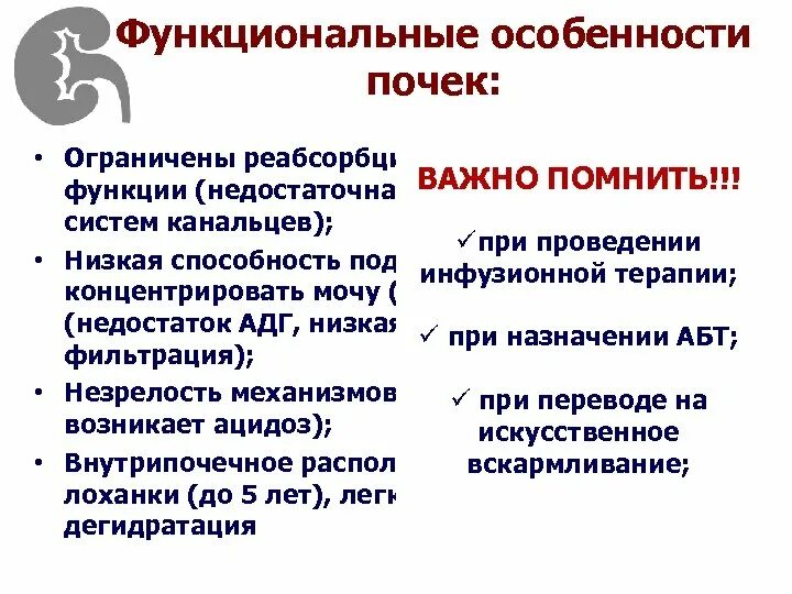 Заболевание почек особенности. Функциональные особенности почек. Функциональный Особености почеи у дети. Функциональные особенности почек у детей. Функциональные особенности почек новорожденных.