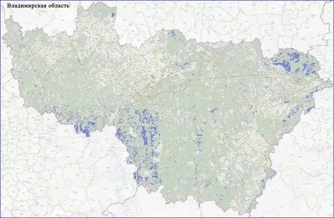 Владимирская область в 2021 году