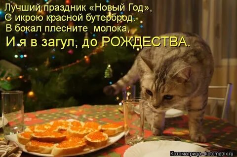 Вот этот новый год