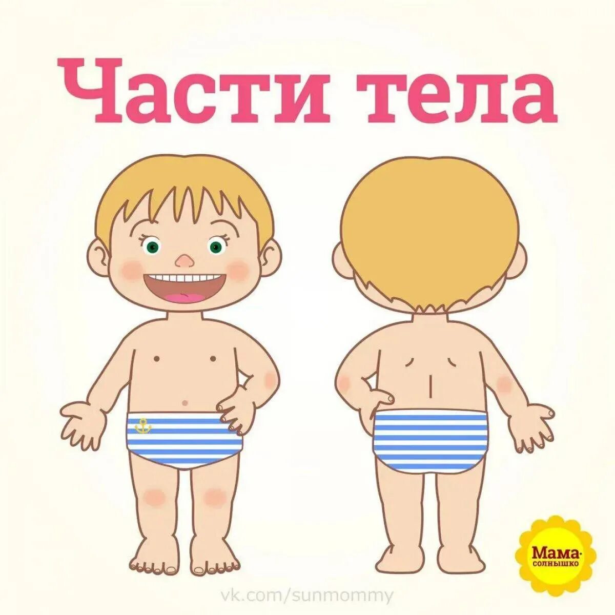 Картинка тело человека для детей