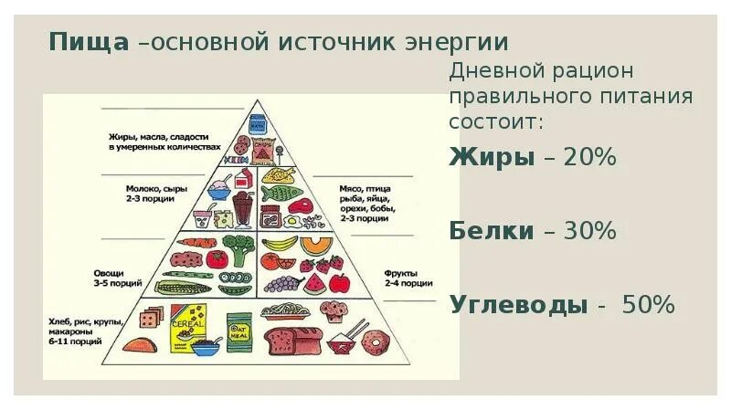 В2 рибофлавин источники. Пища получить. Питание для клеток организма. Продуктыбагатые клетчаткой. Пищевые продукты животного происхождения.