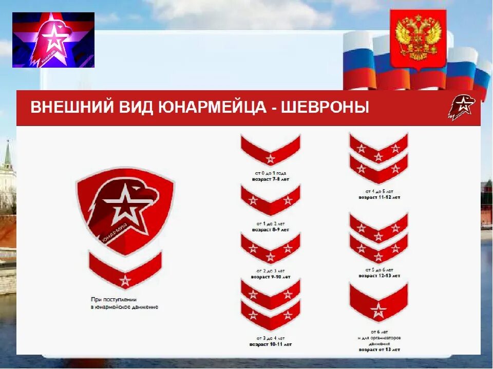 орел юнармия символ. что означает юнармия. юнармия. знаки различия юнармейцев. юнармия форма.