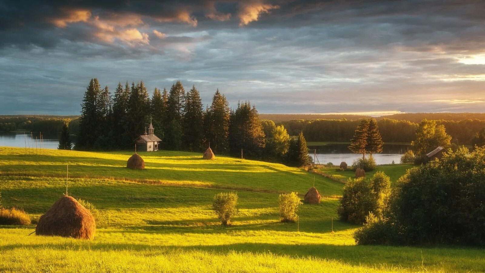 Река тропка конаковский район. Болотистые луга в астраханском заповеднике. Луга ростовской области. Был в поле был на озере. Озеро в поле.