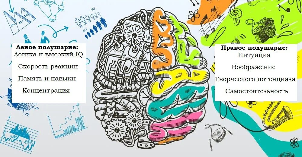 Полушарие логики. Левое и правое полушарие мозга. Головной мозг левое и правое полушарие. Два полушария мозга. За что отвечает левое полушарие мозга.