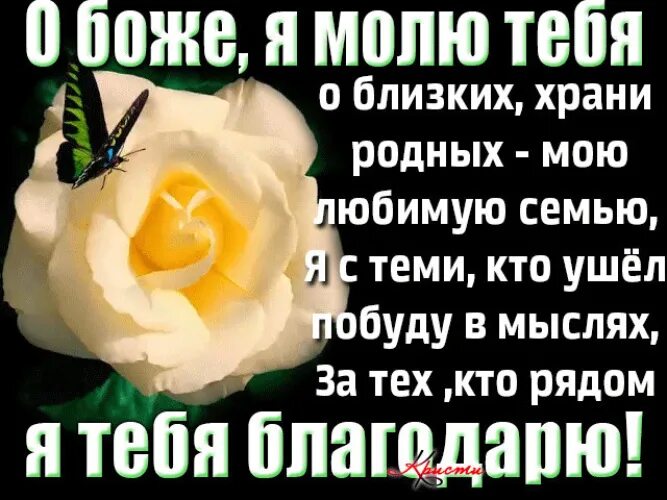 Попроси сохранить. Храни Господь моих родных и близких. Я об одном Всевышнего молю храни людей которых люблю. Храни Господь тебя и твою семью.