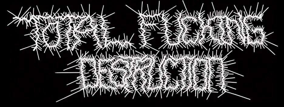 Destroy haters