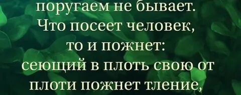 Бог поругаем не бывает