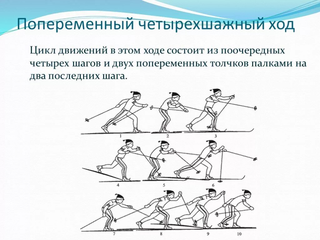 Попеременный четырехшажный ход фазы. Четырехшажный ход на лыжах. Лыжные ходы попеременный четырехшажный ход. 5. Попеременный четырехшажный ход.