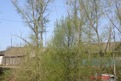 Погода в старом ирюке на неделю