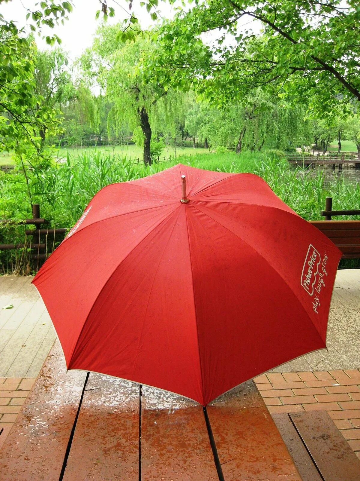 Зонт. Красивый зонт. Зотик. Дождевой зонт. Правильный зонтик
