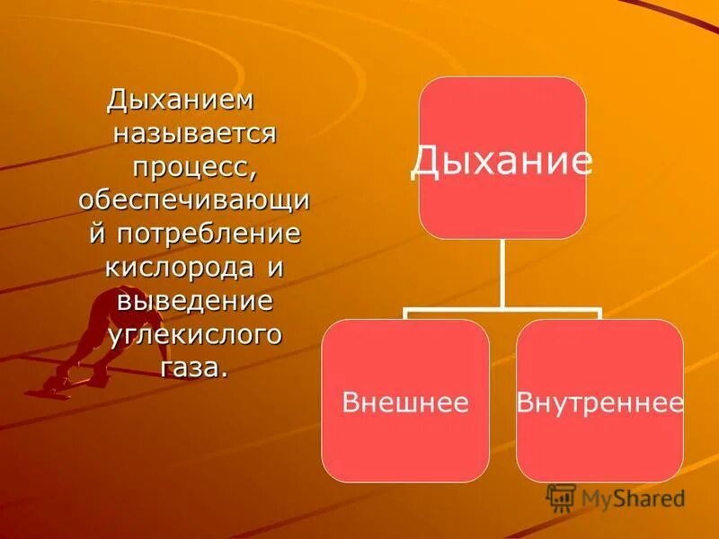 Дыханием называется процесс обеспечивающий. Дыханием называется процесс:. что называется дыханием. какой процесс называют дыханием кратко. 1. какой процесс называют дыханием?.
