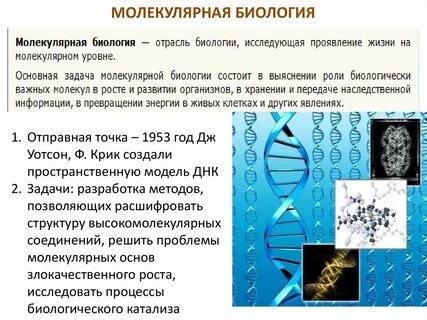 Методы структурной биологии презентация