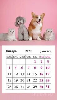 Январь 2021 детский