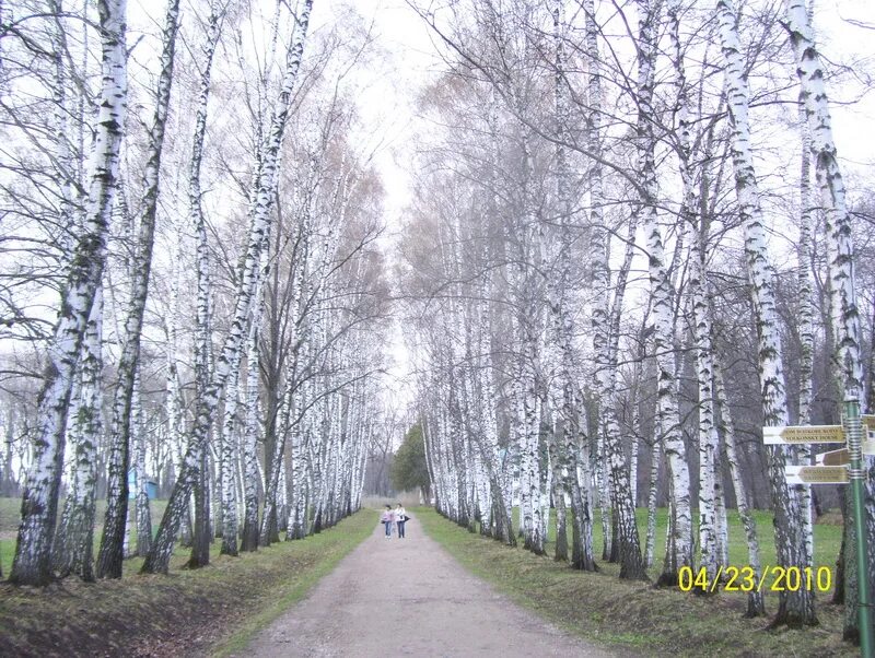 Тарусская Поляна. Тула заповедник. Таруса Тула. Близ Оки Тарусская Поляна.