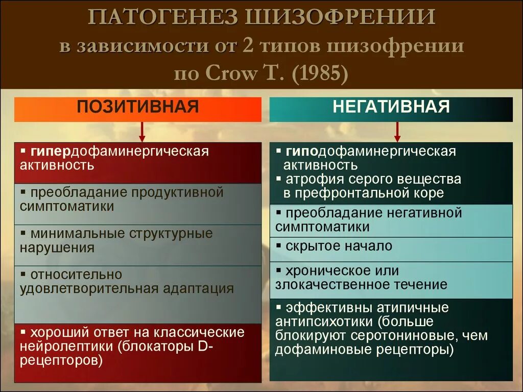 Этиология шизофрении. Этиология и патогенез шизофрении. Механизм развития шизофрении. Теории патогенеза шизофрении. Школа шизофрении