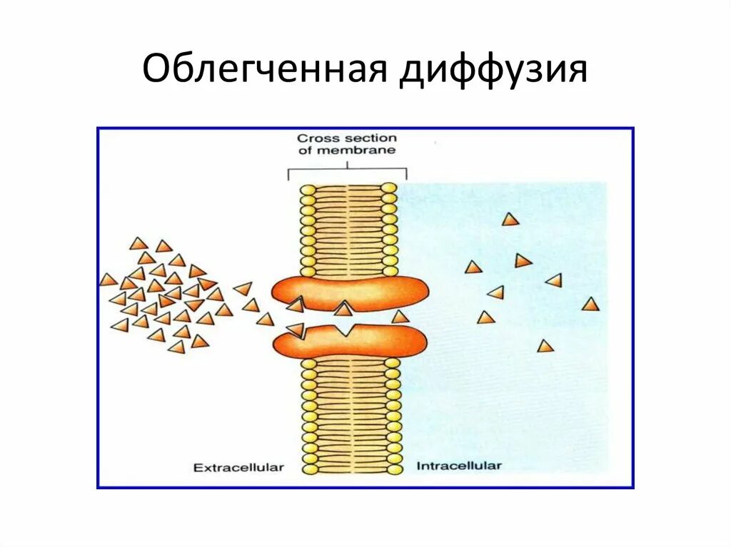 Диффузное питание