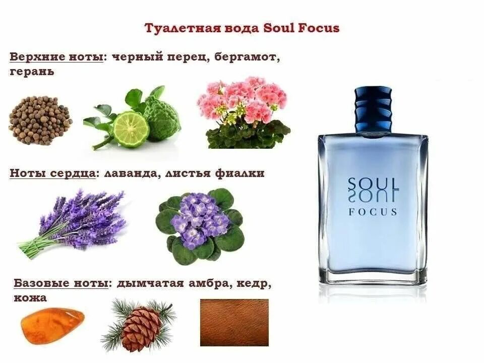 Соул туалетная вода мужская Орифлейм. Туалетная вода Орифлейм мужская Soul Focus. Туалетная вода Орифлейм мужская Ноты. Мужская туалетная вода Орифлейм состав.