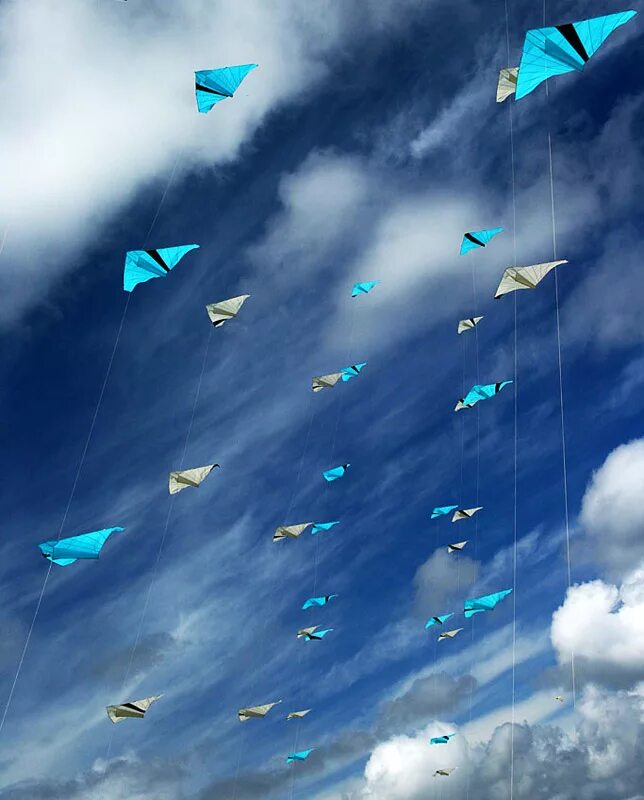 Go kite flying. Воздушный змей. the kite. воздушный змей картинка. go fly a kite.