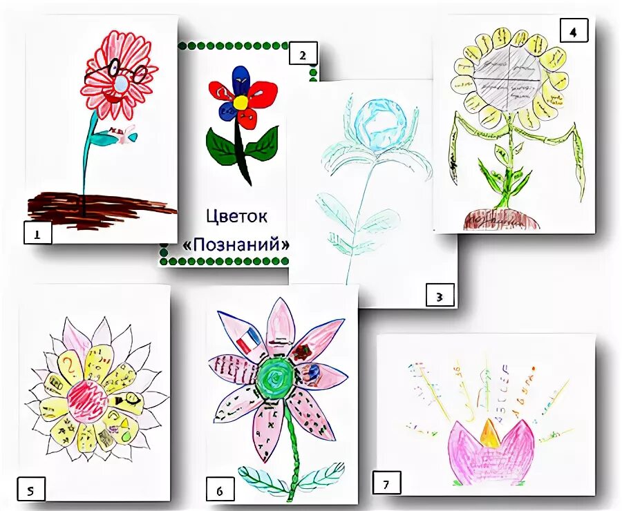Программа цветок для глаз для детей. Схематичное изображение цветка для логотипа. Программа цветок для зрения. Программа цветок. Компьютерная программа цветок.