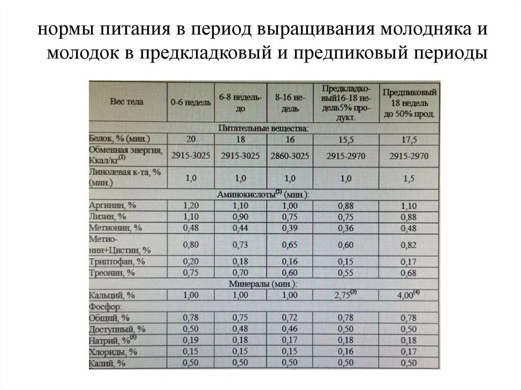 Нормы питания. Периоды выращивания молодняка. Нормы кормления сельскохозяйственной птицы. Нормы питания в год. Группы норм питания