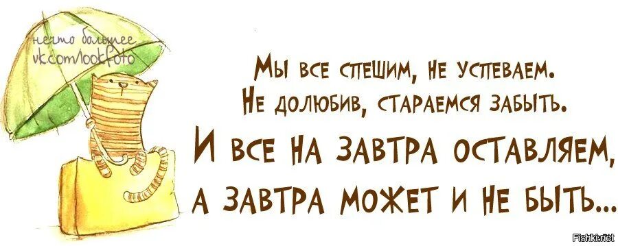 Умные фразы в картинках с юмором. Мудрые мысли с юмором в картинках. Умные высказывания о жизни с юмором. Мысли о жизни с юмором.