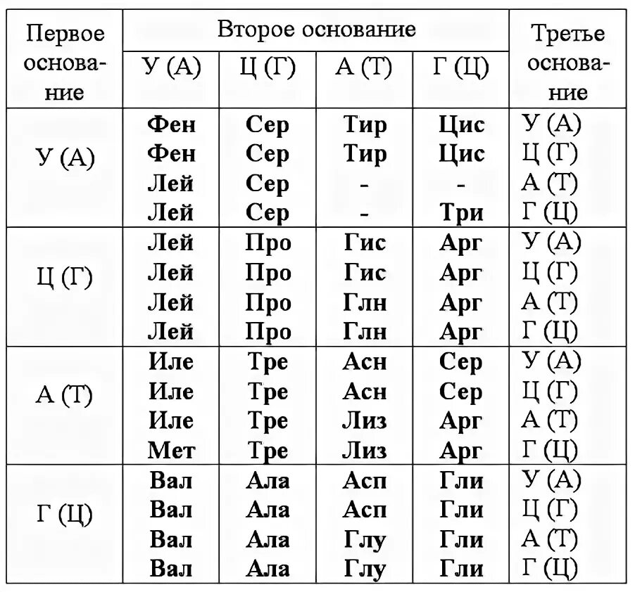 Сер лей ала. Последовательность аминокислот в белке таблица. Таблица для решения задач по молекулярной биологии. Аминокислоты таблица генетического кода. Таблица белков нуклеотидов.