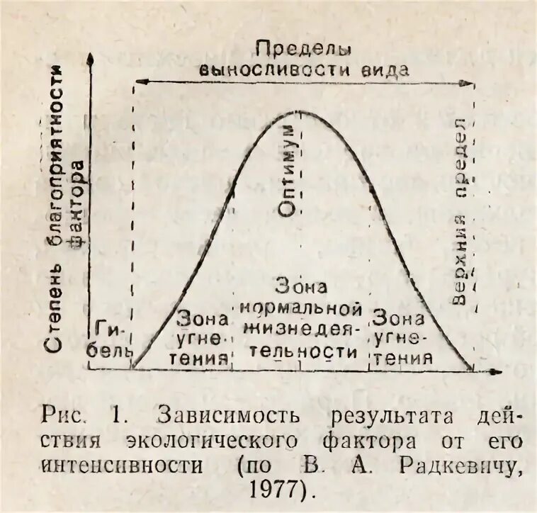 Закономерности влияния экологических факторов на организмы. Закон оптимума экология. Схема действия факторов среды на живые организмы. Схема действия фактора среды на организмы. Влияние температуры на живые организмы схема.