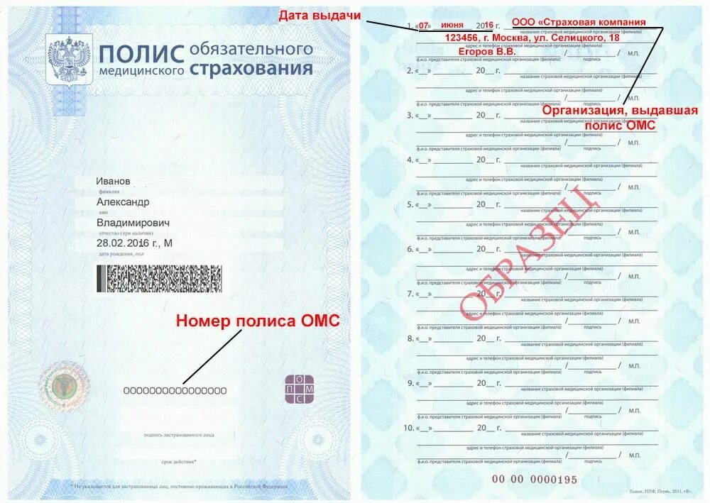 Как узнать дату полиса. Номер полиса. номер страхового полиса. полис омс. номер страхового медицинского полиса.