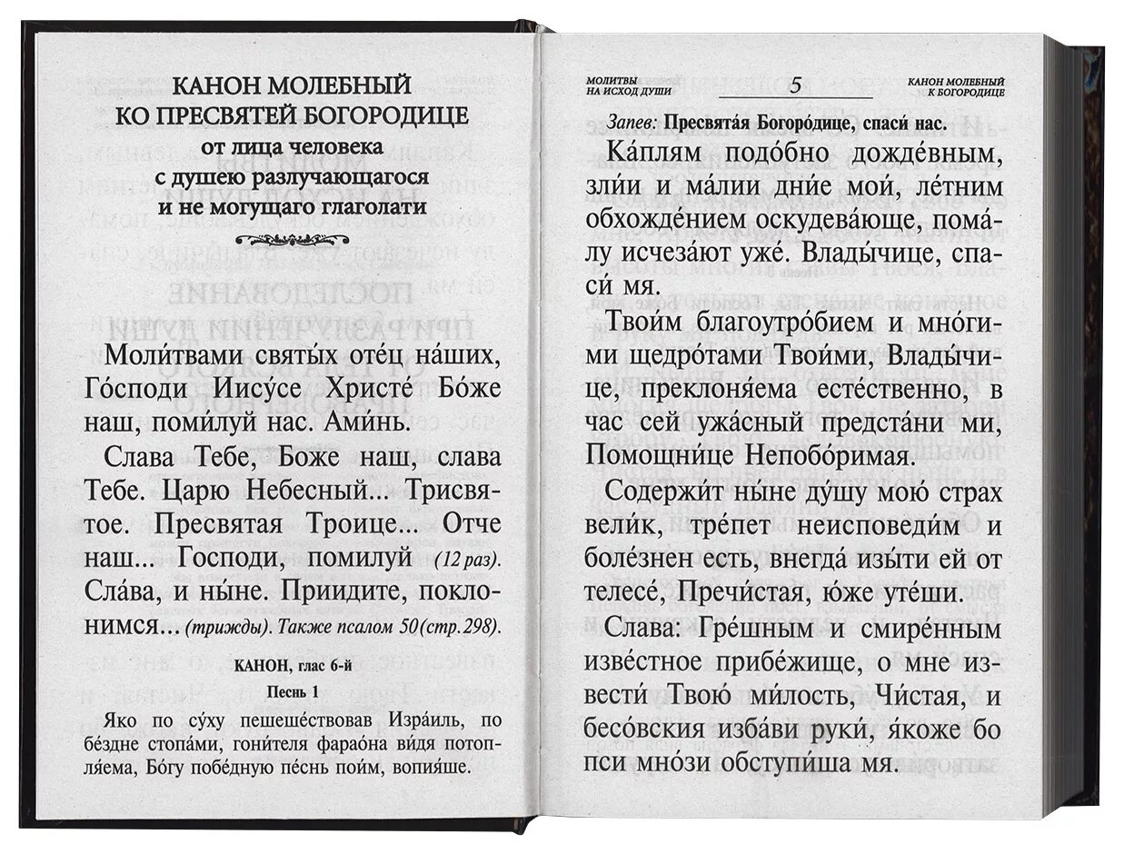 Псалтырь по усопшим текст на русском дома. Псалтырь об усопших. Каноны по усопшим. Псалтирь по усопшим. Издание Псалтири по усопшим.