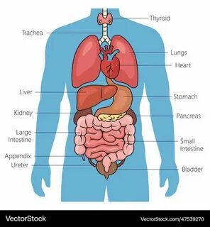Porno konsert: xotinni sikish