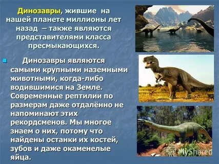 Какие животные обитают на земле 2 класс