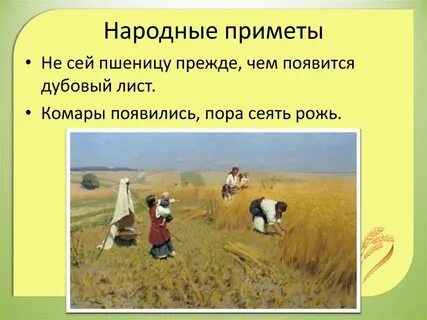По сею пору