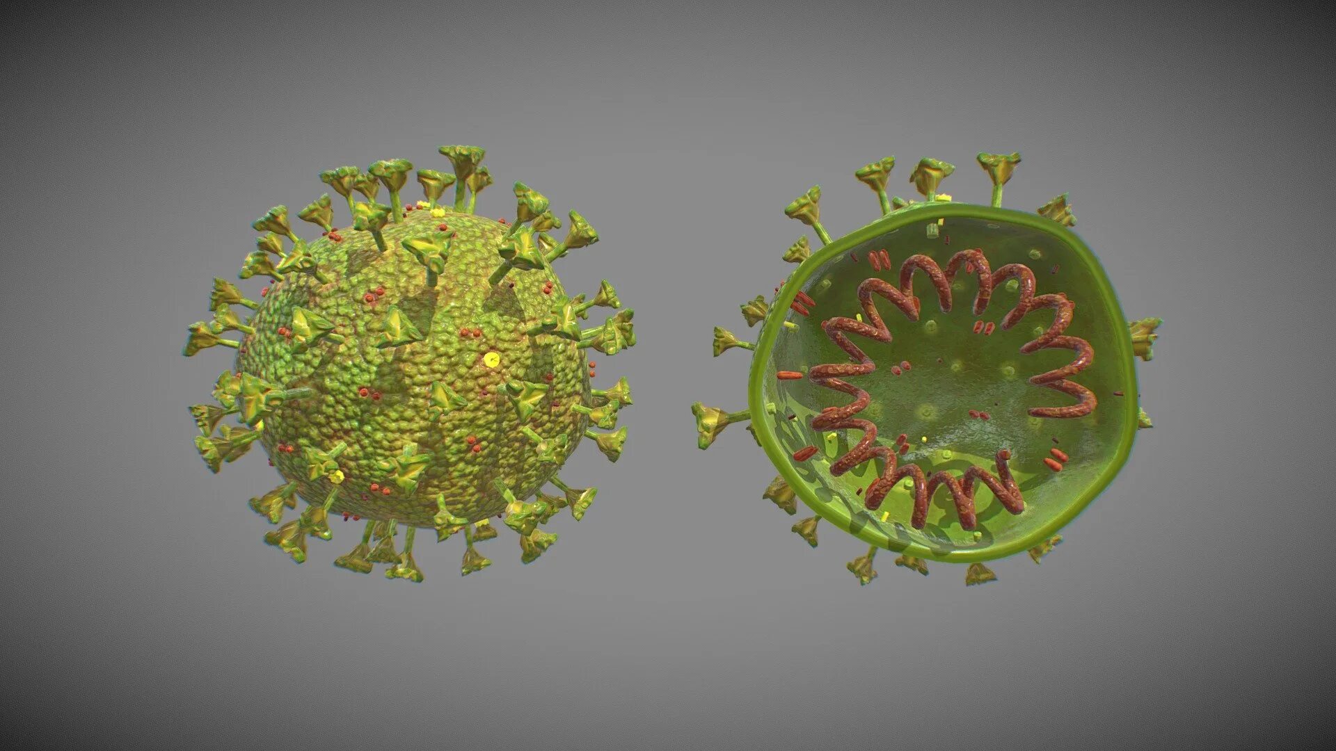 Коронавирус ленинградской. Коронавирус SARS-cov-2. Коронавирус модель вируса. Коронавирус Вирион. Coronavirus строение.