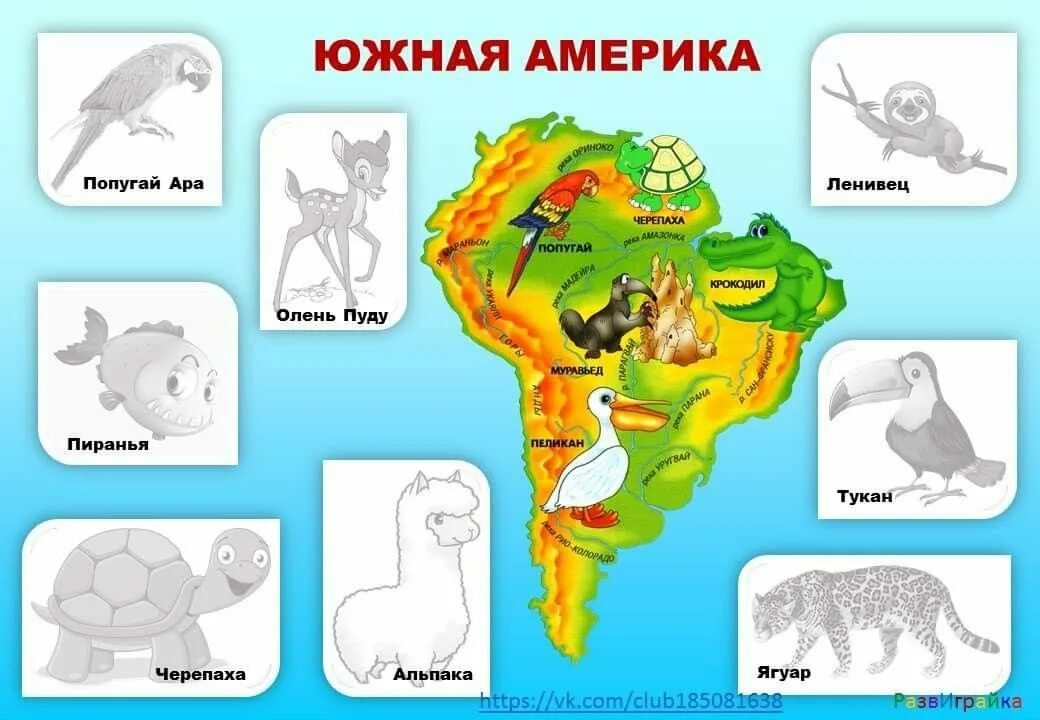 Континенты для дошкольников. Материки для дошкольников. Животные континентов для детей. Изучение материков для детей.
