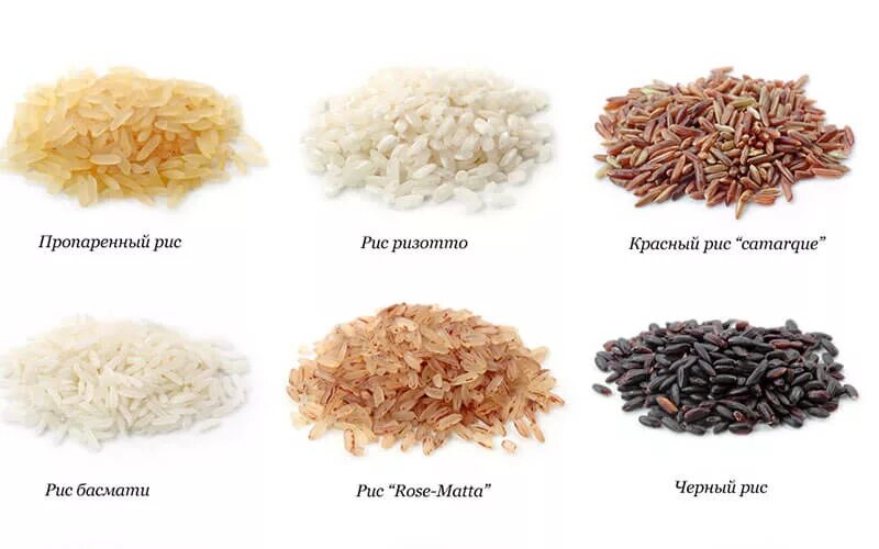 Различие риса. Крахмалистые сорта риса. Разновидность риса название. Рис вид крупы. Разные сорта риса названия.