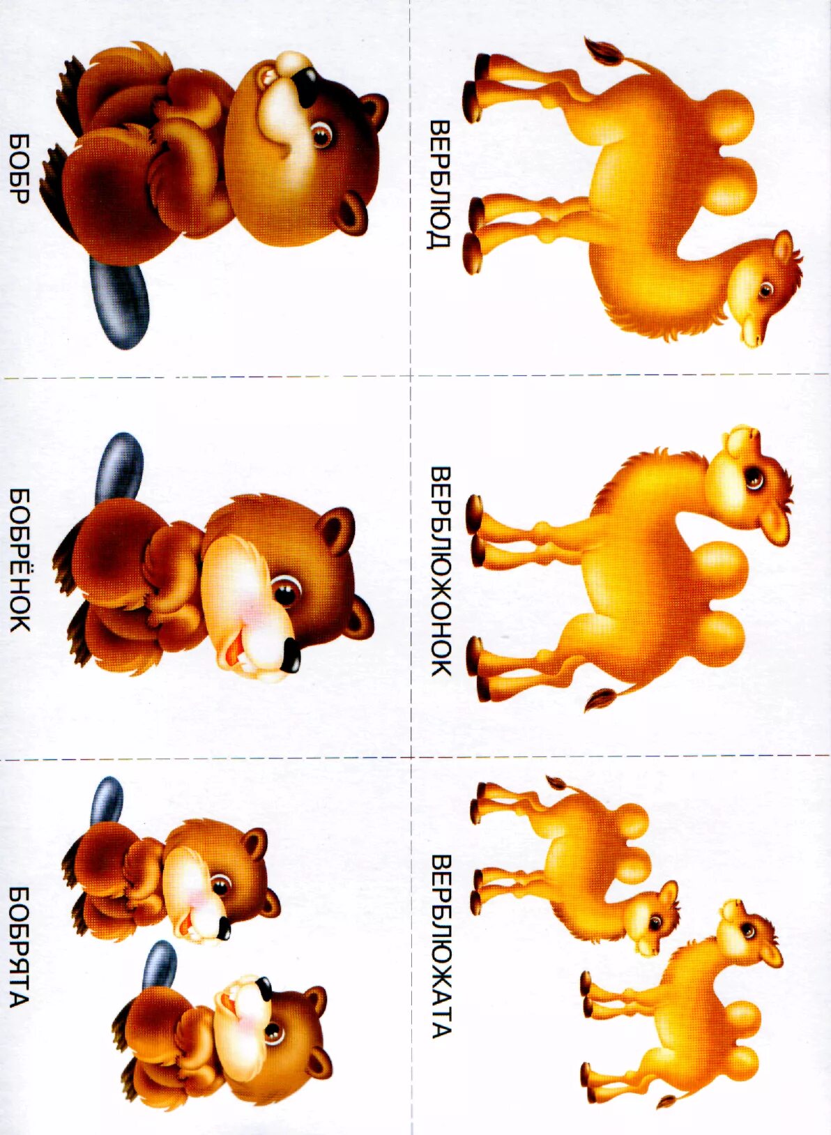 Картинки животных для детей в детском саду. Дидактическая игра животные леса. Игра мама и детеныши. Дидактическая игра животные и их детеныши. Игра мама и детеныши.