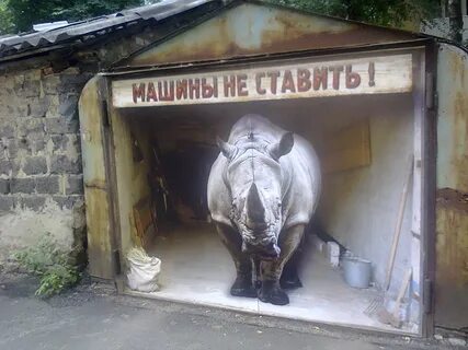 Не смотря на ворота