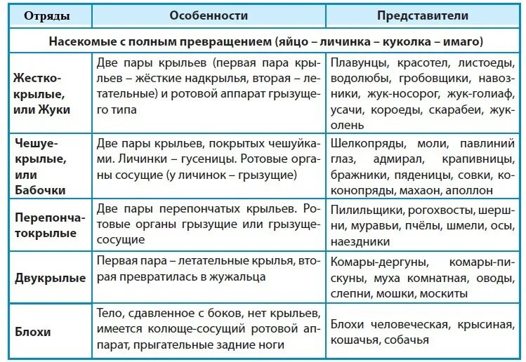 Полное превращение насекомых таблица. Типы насекомых таблица. Характеристика отрядов насекомых. Отряды насекомых с полным и неполным превращением. Отряды класса насекомые таблицы.