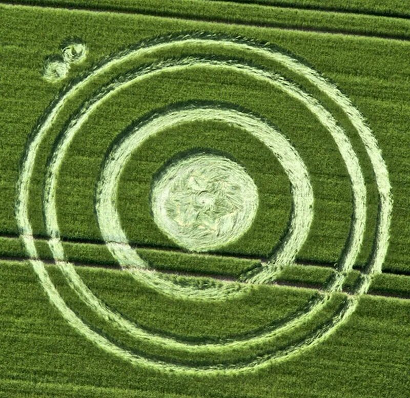 Уилтшир,,круги на полях. Круги на полях 2012. Знаки на полях Англии. Круги на поле телеграмм