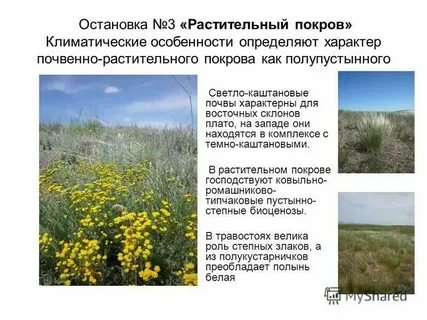 Общий покров это