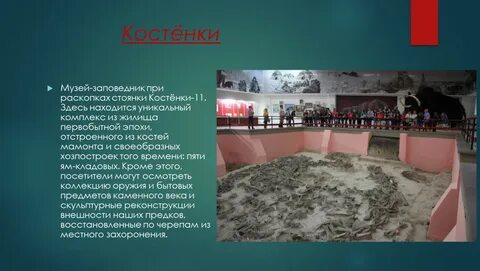 Экспонат читать краткое