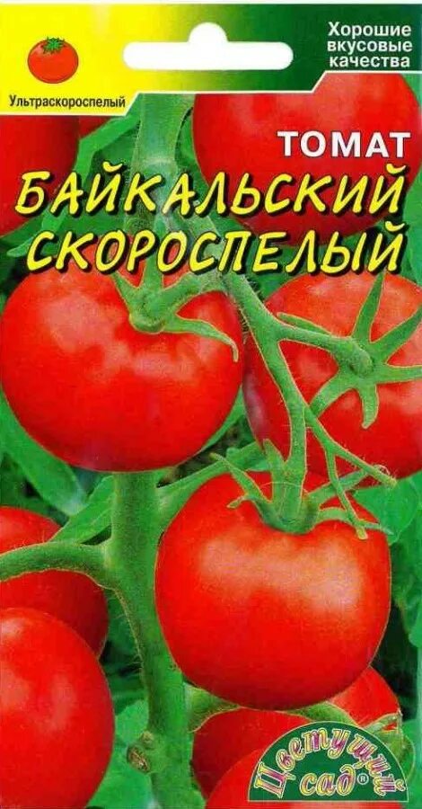 Скороспелые семена томатов. Байкальский скороспелый томат. Томат ультраскороспелый характеристика. Томат Забайкальский ранний.