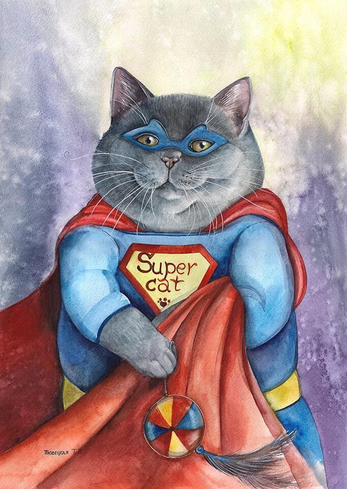 Кот герой произведений. Кот Супергерой. Супер кошка.