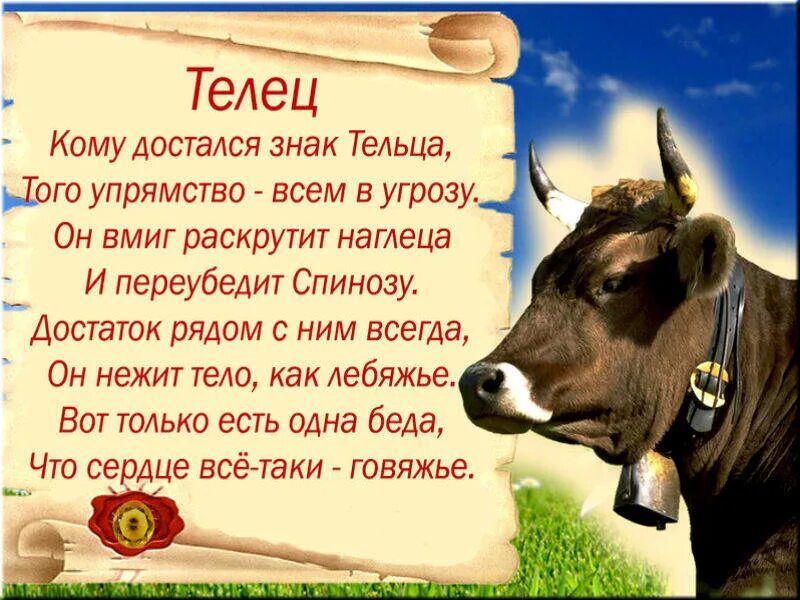 Тельцы мужчины май