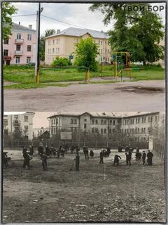 Старинный бор