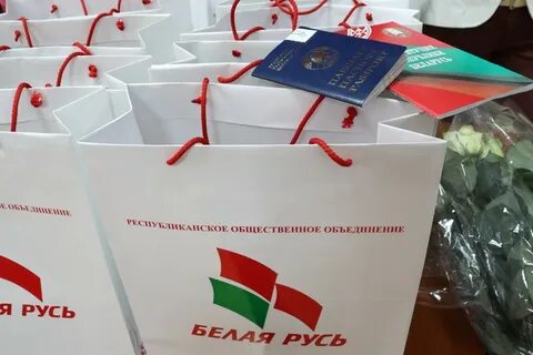 Бела белая русь минус