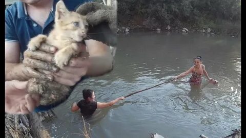 Спасись видео