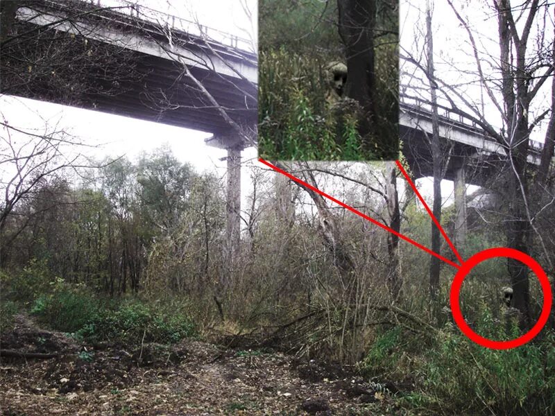 Иридиевая аномалия. Самые аномальные места. Гигантские лесные аномалии. Аномальные явления в природе. Аномальная зона.